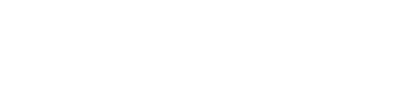 Sebastian Stachowski Logo